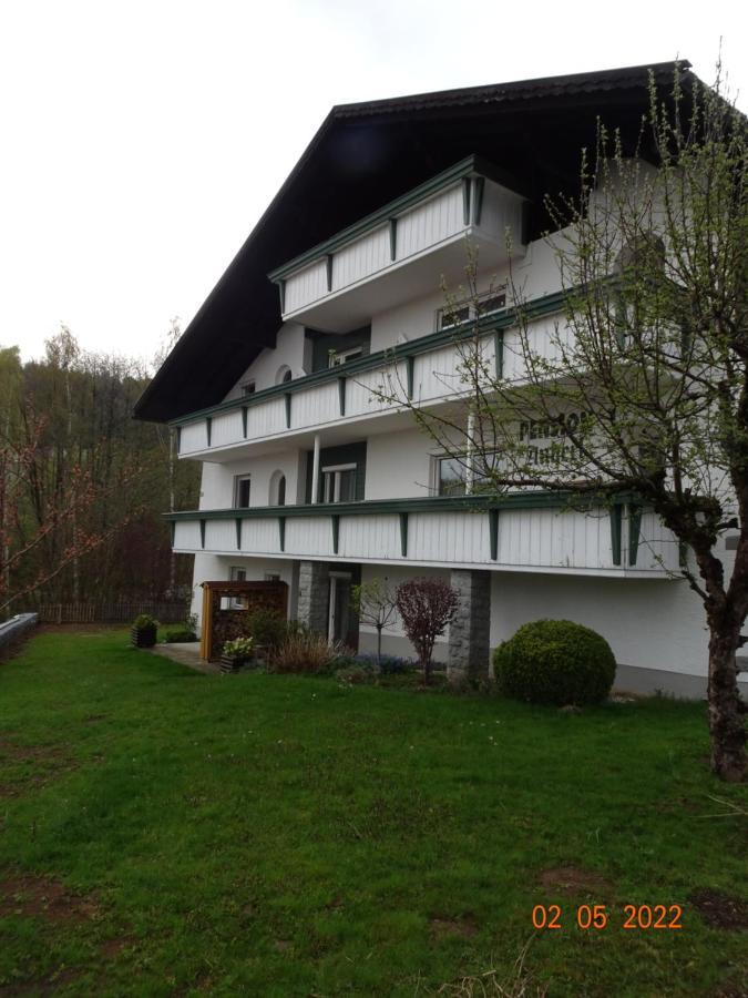 Pension Anderl Bodenmais Extérieur photo